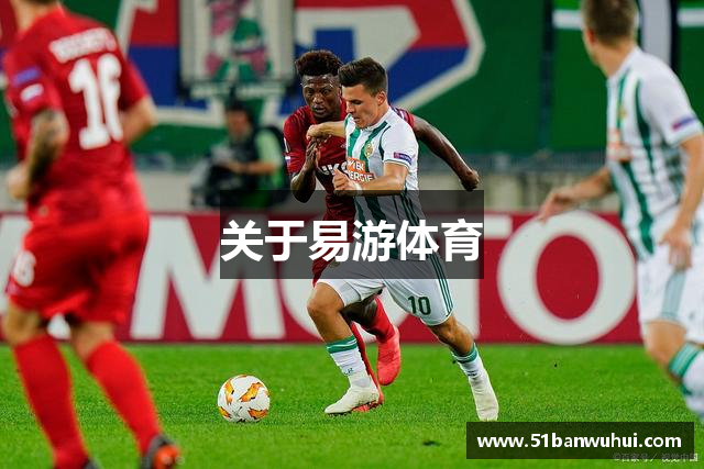关于易游体育